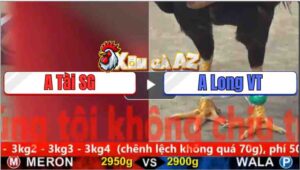 Trận 16 CPC5 5/11/2025