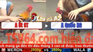 Trận 19 CPC5 5/11/2025