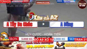 Trận 21 Tonhon 11/1/2025