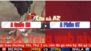 Trận 3 CPC5 3/11/2025