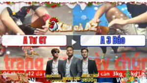 Trận 4 CPC5 24/11/2025