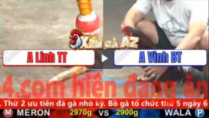 Trận 4 CPC5 4/11/2025