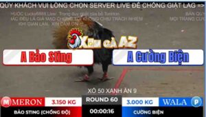 Trận 60 Ton hon 2/11/2025