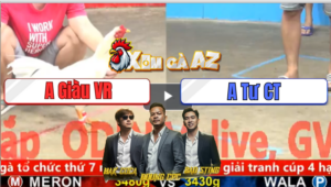 Trận 12 CPC5 25/12/2025