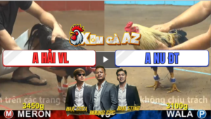 Trận 12 CPC4 25/12/2025