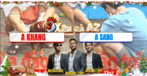 Trận 4 CPC5 2/12/2025 - Trận Xổ Lớn Nhất Hôm Nay Tại Bồ CPC5