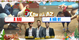 Trận 33 Bồ CPC4 15/12/2025 - Anh Hải Đồng Tháp Đưa Hàng Hiệu Ra Siết Quá Khét