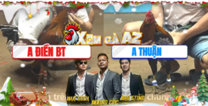 Trận 30 Bồ CPC4 26/12/2025 - 2 Con Cọp Va Nhau Buông Ra Gà Anh Thuận Về Đẳng Cấp