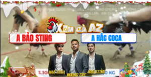 Trận 33 Bồ Tonhon 10/12/2025 - Bảo Sting Tiếp Tục Bị Hắc Coca Phản Phút 90