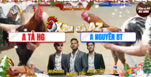 Trận 23 Bồ Tonhon 12/12/2025 - Điều Cọp Chồng Độ Tiếp Tục Khiến Cánh Cà Mau Gãy Giò