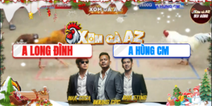 Trận 24 Bồ Tonhon 12/12/2025 - Long Đình Chấp 1 Cựa Khi Nặng Hơn 2 Chấm Gà