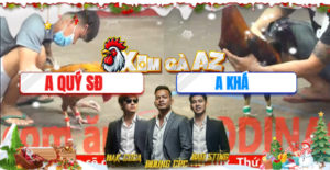 Trận 19 Bồ CPC5 12/12/2025 - Khét Cọp Anh Quý Đâm Lọt Nách Đưa Đối Thủ Đi Xa