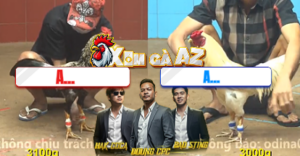 Trận 26 Bồ CPC4 29/12/2025 - Gà Úa Idol Đá Chuối Cọp Thành Chuối Cúng Sau 1 Tay Nước