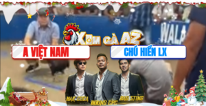 Hiển Long Xuyên Ra Trận Đầu Tiên Tại Bồ Mới Galaxy