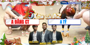 Trận 7 Bồ Tonhon 16/12/2025 - Đăng Cần Thơ Phóng Bạc Anh Tỷ Và Cái Kết