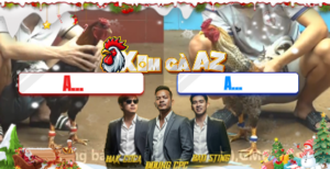 Trận 29 Bồ CPC4 13/12/2025 - Điều Cọp Đá Gà Cú Ói Té Xe Tuyệt Đối