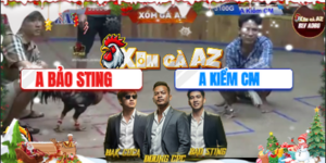 Trận 37 Bồ Xà Xía 7/12/2025 - Kiểm Cà Mau Chấp Bảo Sting 8 Chấm Gà Về Khuya