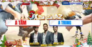 Trận 4 Bồ Tonhon 17/12/2025 - Gà Cú Anh Tâm Phản Ăn 1 Đẳng Cấp Phút Quyết Định