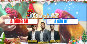 Trận 33 Bồ CPC3 21/12/2025 - Gấu Bến Tre Đâm Dũng Sài Gòn Lật Xe Tuyệt Đối