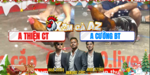 Trận 1 Bồ CPC5 22/12/2025 - Cường Bến Tre Tiễn Anh Thiện Đi Một Đoạn Xa