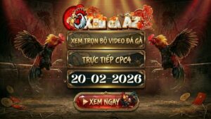 Xem Full Video Đá Gà CPC4 Ngày 20/02/2026