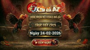 Xem Full Video Đá Gà CPC5 Ngày 24/02/2026