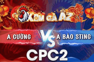 Bảo Sting Gom Sạch Bồ Chấp 8 Chấm Ăn Cọp Đúng 1 Chân - Trận 21 Bồ CPC2 18/3/2026