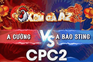 Bảo Sting Phản Ăn 1 Ở Phút Quyết Định Khiến Cả Bồ Lật Xe - Trận 22 Bồ CPC2 20/3/2026