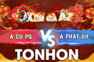 Trận 3 Bồ Tonhon 11/3/2026 - Bướm Đá Đúng 3 Chân Điều Tốc Chạy Hết Cứu