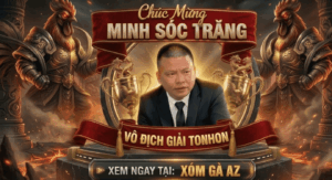 Đương Kim Vô Địch Giải Tonhon Ngày 11/3/2026