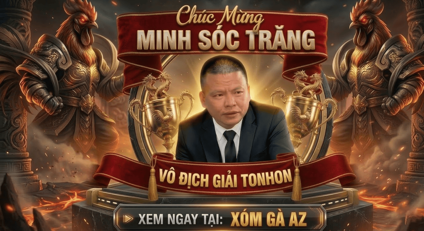 Đương Kim Vô Địch Giải Tonhon Ngày 11/3/2026