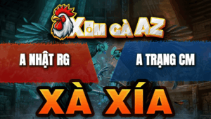 Trận 13 Bồ Xà Xía 21/4/2026 - Bướm Lùa Nạp Tới Tấp Buông Ra Hạ Cú Nhanh Gọn