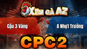 Trận 14 Bồ CPC2 25/4/2026