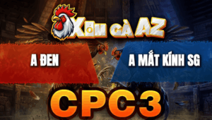 Trận 15 Bồ CPC3 26/4/2026 - Gà Cú Đá Cây Trúng Điểm Đỏ Hết Đứng