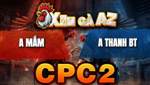 Trận 17 Bồ CPC2 20/4/2026 - Cú Nạp Chân Quá Tịch Bướm Nằm Ngay Hết Cứu