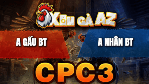 Trận 22 Bồ CPC3 26/4/2026 - Bướm Đá Quá Cựa Điều Vào Kính Hết Đứng