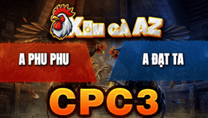 Trận 28 Bồ CPC3 23/4/2026 - Bướm Đá Cựa Như Sam Xít Đỏ Phu Phu Tốc Chạy