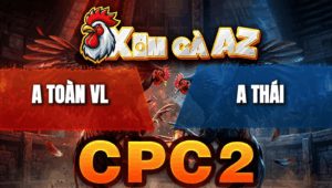 Trận 28 Bồ CPC2 20/4/2026 - Bướm Đá Xám Ói Chết Xong Quay Đầu Chạy Đầy Cay Đắng