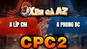 Trận 34 Bồ CPC2 20/4/2026 - Điều Giao Chân Quá Tịch Khét Hư Hình Bỏ Chạy