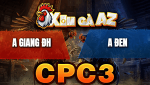 Trận 37 Bồ CPC3 23/4/2026 - Xám Cọp Đá Vài Chân Là Có Kết Quả