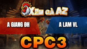 Trận 39 Bồ CPC3 23/4/2026 - Gà Chồng Độ Tiếp Tục 3 Cước Về Bờ