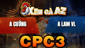 Trận 41 Bồ CPC3 23/4/2026 - Điều Lùa Siết Quá Khủng Đâm Bướm Xì Khói