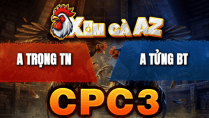 Trận 7 Bồ CPC3 23/4/2026 - Điều Xiết Chuối Gãy Giò Hết Sửa Bưng Ra