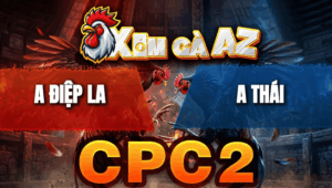 Trận 8 Bồ CPC2 20/4/2026 - Đỏ Đá Bo Quá Lớn Lại Đâm Tịch Xanh Nằm Tại Chỗ Sau 3 Đá