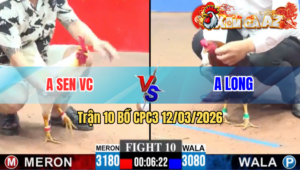 Trận 10 CPC3 19/04/2026 - Điều Quá Lực Đá Bướm Nằm Liệt Những Giây Cuối Cùng