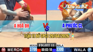 Trận 11 CPC3 20/04/2026 - Đỏ Gồng Tang Bị Xanh Dí Tử Huyệt Gục Mình Đầu Hàng