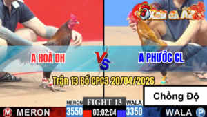 Trận 13 CPC3 20/04/2026 - Đá Qua Đá Lại Đỏ Ăn 1 Cựa Gục Tại Chỗ