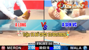 Trận 14 CPC3 19/04/2026 - Khét Giao Chân Quá Tịch Bướm Hư Hình Bỏ Chạy