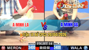 Trận 14 CPC3 20/04/2026 - Đỏ Khéo Chân Đâm Mình Dí Xanh Chạy Bay Bồ