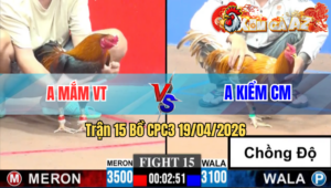 Trận 15 CPC3 19/04/2026 - Khét Chồng Độ Chấp Ngông Điều Đá Lật Xe